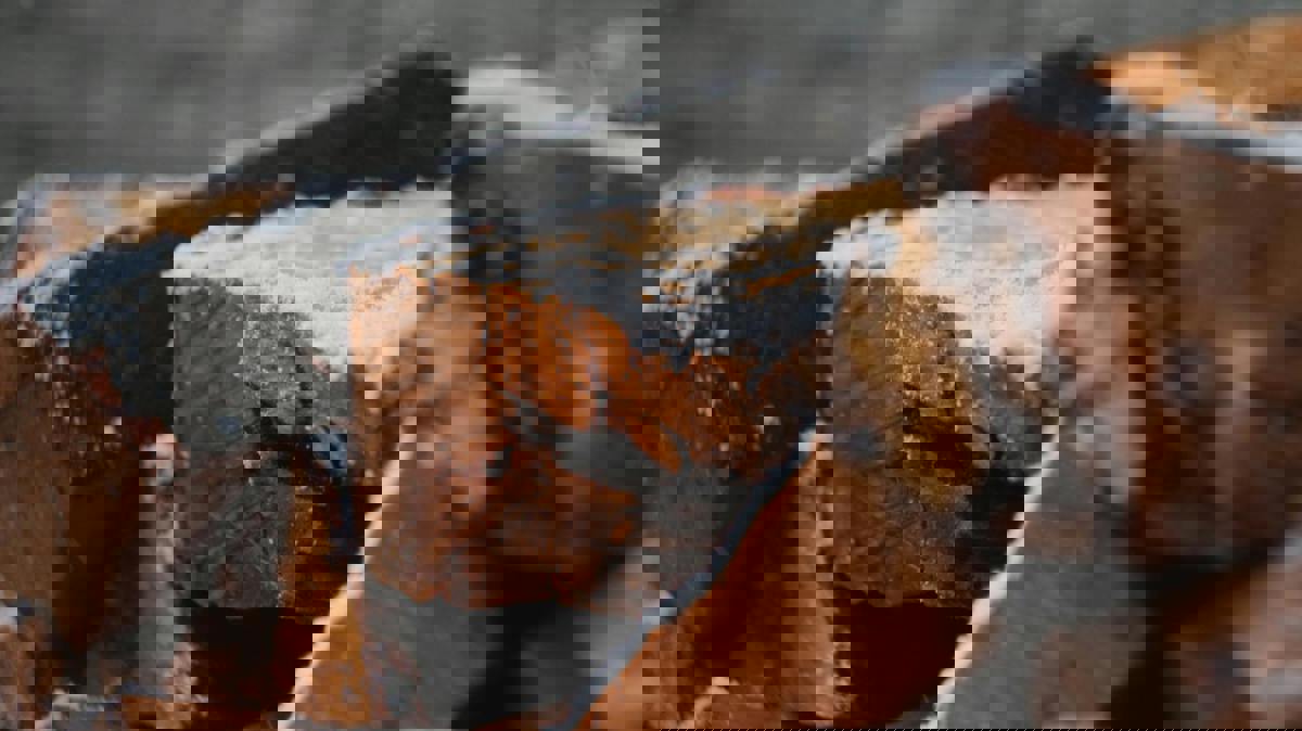 MPs Urge Energy Firms to Halt Winter Price Hikes Amid Concerns Over Vulnerable Households